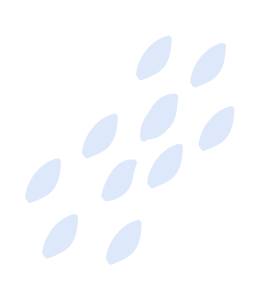 Çekmeköy Amerikan Kültür